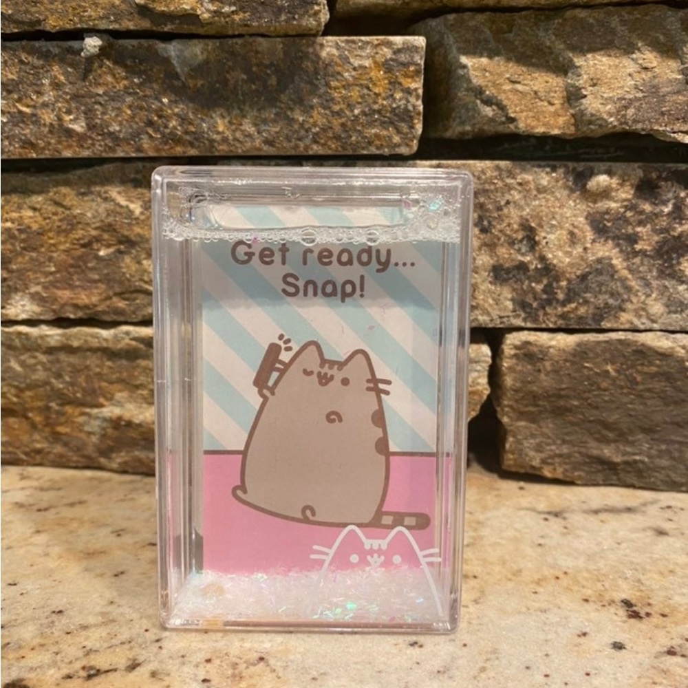 Pusheen glitter picture frame